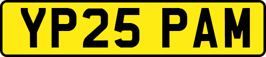 YP25PAM