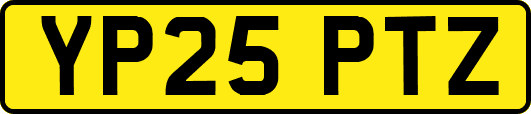 YP25PTZ