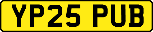 YP25PUB