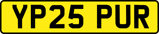 YP25PUR