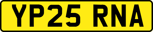 YP25RNA