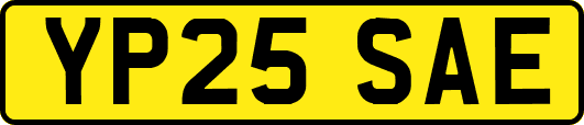 YP25SAE