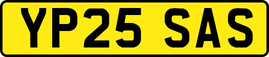 YP25SAS