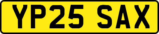 YP25SAX