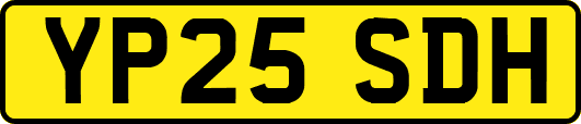 YP25SDH