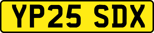 YP25SDX