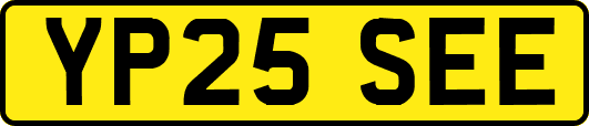 YP25SEE