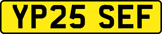 YP25SEF