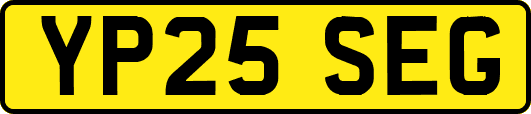 YP25SEG