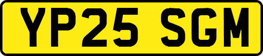 YP25SGM