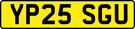 YP25SGU