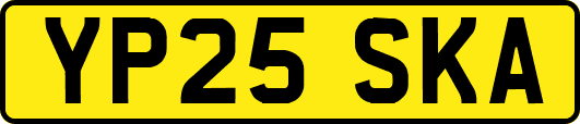 YP25SKA