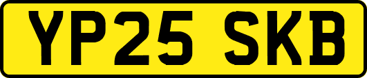 YP25SKB