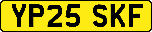 YP25SKF