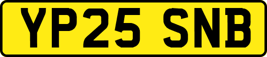 YP25SNB