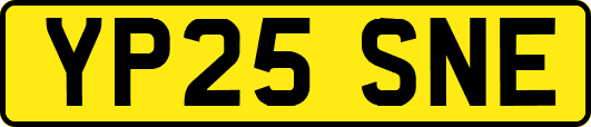 YP25SNE