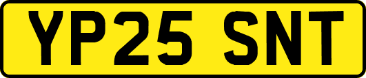 YP25SNT