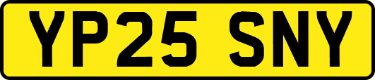 YP25SNY