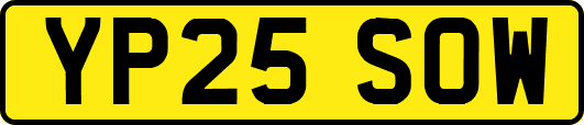 YP25SOW
