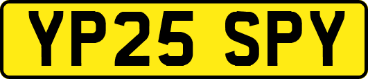 YP25SPY