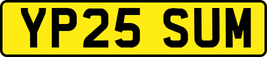 YP25SUM