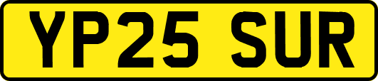 YP25SUR