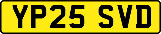 YP25SVD