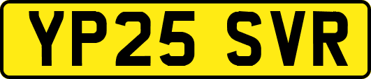 YP25SVR