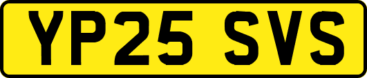 YP25SVS