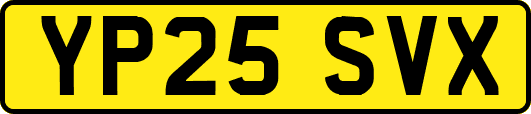 YP25SVX