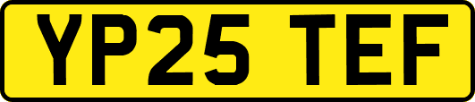 YP25TEF