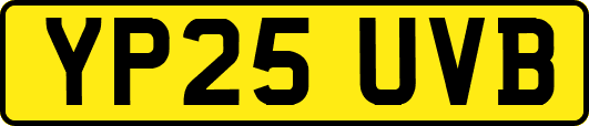 YP25UVB