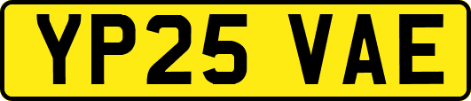 YP25VAE