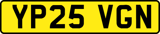 YP25VGN