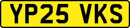 YP25VKS
