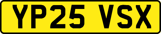 YP25VSX