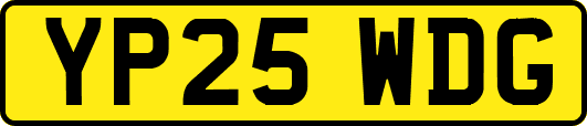 YP25WDG
