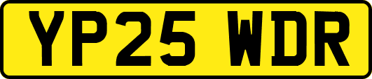 YP25WDR