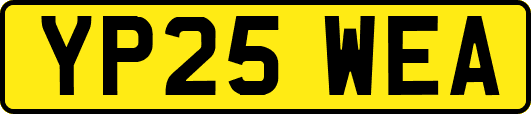 YP25WEA