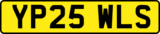 YP25WLS