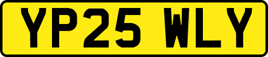 YP25WLY