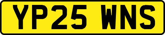 YP25WNS