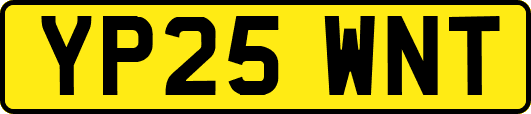 YP25WNT