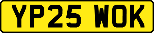YP25WOK