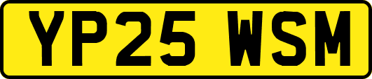 YP25WSM