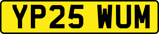 YP25WUM