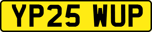 YP25WUP