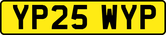 YP25WYP