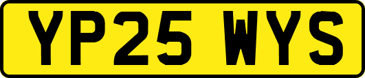 YP25WYS
