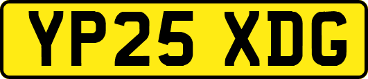 YP25XDG